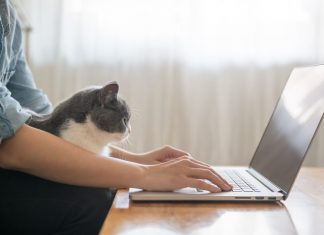 45 % des actifs français se disent inactifs